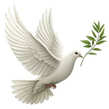finedove